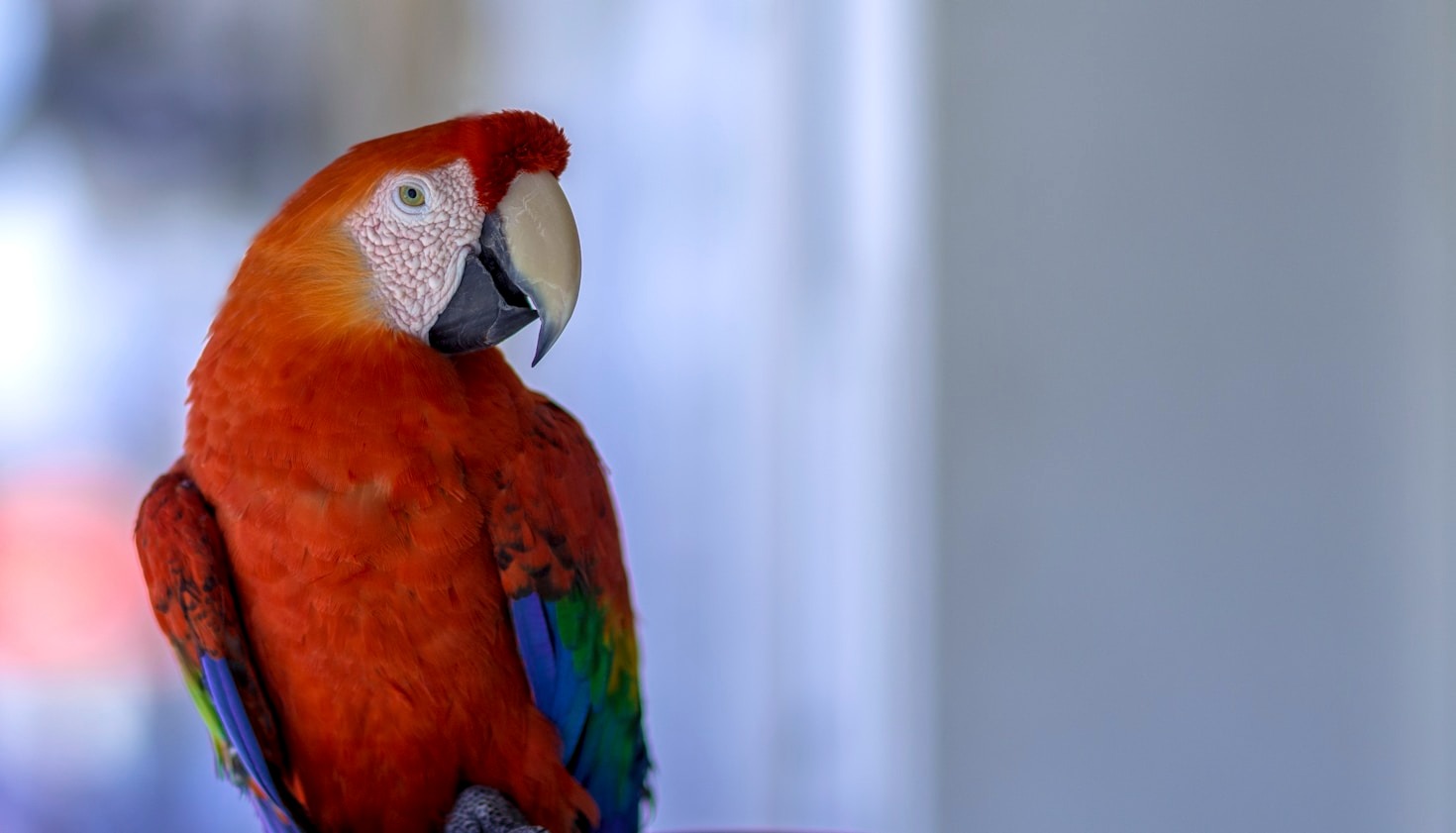 Die erstaunlichen Lebensweisen der Tierwelt